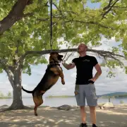 如果你把一个吊死狗从树上取下你会得到什么样的结果？