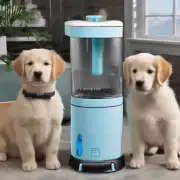 给小狗买什么样的饮水机比较好？