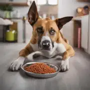 如何使狗爱吃狗粮？