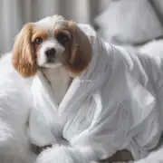 为什么狗不喜欢被包裹在白色的衣物中？