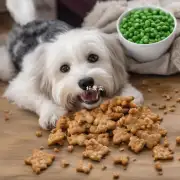 你是否可以为你的狗找到一种适合它们口味的小零食作为奖励机制鼓励其表现良好？