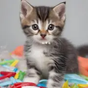 幼猫为什么会拉肚子啊？