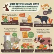 为什么有些人相信某些特定类型的动物产品比其他人更好用于代替乳制品作为营养补充剂而没有科学依据支持这些说法？