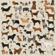 狗有多少种品种？