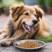 如何判断一个狗粮是否适合您的宠物狗食用？