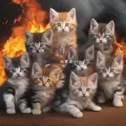 如何判断幼猫是否上火了呢？有哪些常见的表现形式和特征？