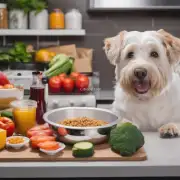 当你不确定自己该如何正确地为宠物狗准备餐食的时候该怎么办？