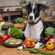 你认为狗是只爱吃蔬菜还是偏爱某种食物的原因是什么？