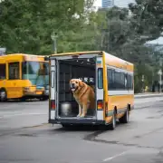 有哪些方法可以减少大型犬在运输途中的压力反应？