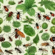 哪些植物可以用于驱赶昆虫以及其他害虫吗？