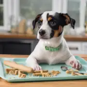 如果你想要制作一种口感更好的容易消化的小型狗骨头替代品你是否可以尝试在家自己烘焙一些？如果是的话你需要哪些工具或者材料才能成功地完成这个任务？