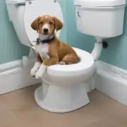 如何培养一只小狗成为固定在指定地点上厕所的好习惯？