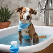 如何准备狗狗沐浴液和浴缸水温以确保它们不会受伤害或感到不适？