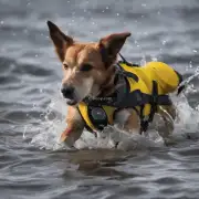 如果一只狗在水中被卡住了喉咙它大概能存活多长时间？