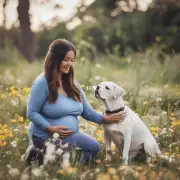 如何让怀孕的女性照顾好她的宠物犬？