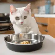 有哪些方法可以帮助控制猫咪的食欲以及防止其过度进食呢？