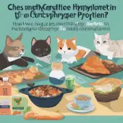 如何确保我们的猫咪和狗只摄入足够的蛋白质碳水化合物和其他必需营养素以保持健康状态？