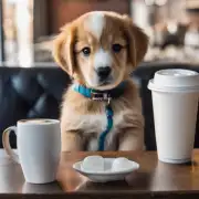 为什么不能给小狗喝咖啡或其他含有兴奋剂的饮品？
