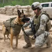 在什么地方可以买到军事犬种培训手册？