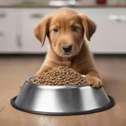 如果小狗一天要喂两次饭的话一次可以多少份狗粮呢？