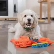 如何训练一只狗学会打扫卫生？