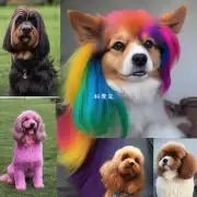 根据你的描述和提供的信息你希望了解如何染发并保持健康的颜色在狗身上的时间表吗？