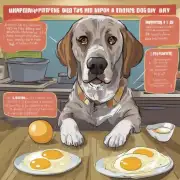 如果一个中型狗每天食用一到两个蛋黄会怎样呢？