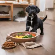 小狗每天应该吃的食物量是多少？