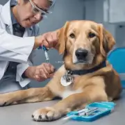 在什么情况下可以给狗狗进行持续性静脉注射？