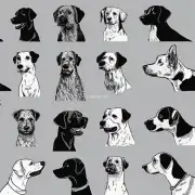 当处理狗狗的行为方面有什么技巧可以帮助我们更好地了解我们的狗和我们自己之间的互动模式？