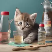什么是最合适的饮水方式来满足一只小猫咪的需求？
