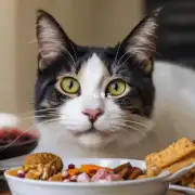 一些食物对猫来说是有害健康的食物吗？