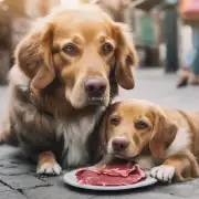 为什么狗不能吃肉类食物？