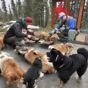 你好像对阿拉斯加犬的食物需求很了解你能告诉我一些他们喜欢吃的东西吗？