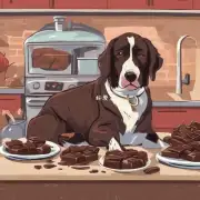 狗为什么不能吃巧克力？