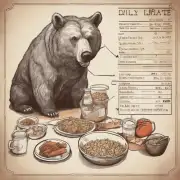 如何计算一只比熊犬每天所需的食物摄入量？