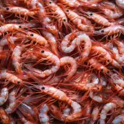 有哪些因素可能导致小虾死亡的原因是什么？