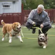 如何训练狗？