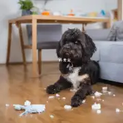 你知道如何正确地给宠物狗清理它的粪便吗？