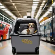 使用旅行袋是否适用于运输您的宠物到目的地？