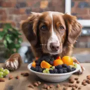 如果你的狗喜欢吃葡萄干和新鲜水果中的某些成分比其他部分更多你该怎么办呢？