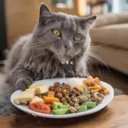 对于那些不能正常咀嚼固体食品的老年猫咪来说它们应该吃什么样的食物以满足营养需求并避免消化道疾病的风险？