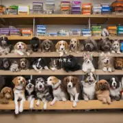 为什么有些宠物店只提供一种或几种特定类型的狗狗进行注射疫苗？是基于对不同品种之间的差异性而做出的选择还是因为某种原因导致选择这种方法更好？