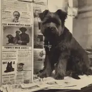 我可以帮你问询一些关于泰迪犬的信息哦你想知道什么呢？