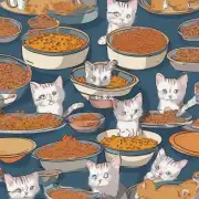 为什么幼猫不吃猫粮？