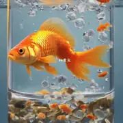 为什么金鱼会掉落鳞片？