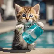 如果一个小猫咪没有饮用足够量的水怎么办？