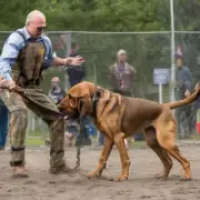 什么类型的训练会帮助血统狗在竞赛中表现出色？