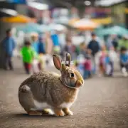 哪些因素会影响一只兔子的大小？