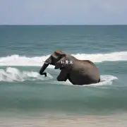 如果将一个成年大象放到大海里会怎样发生？